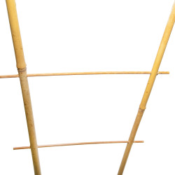 Drabinka bambusowa 60 cm podwójna podpora do roślin drabinka