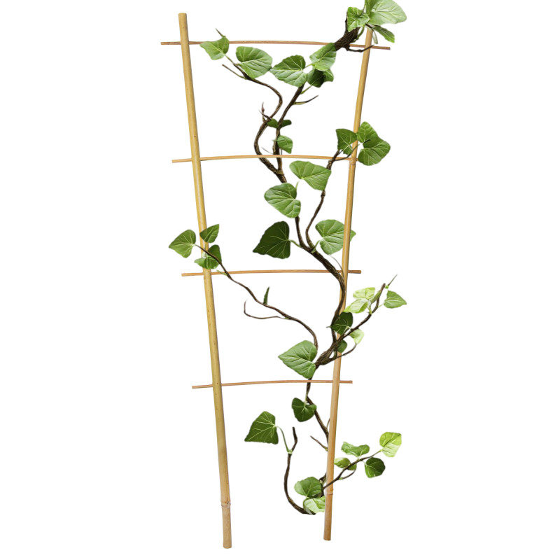 Drabinka bambusowa 60 cm podwójna podpora do roślin drabinka