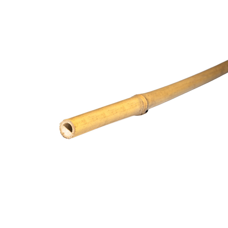 Tyczka bambusowa zestaw 50 szt. 10-12mm 105cm podpora palik do roślin