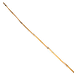 Tyczka bambusowa zestaw 50 szt. 10-12mm 105cm podpora palik do roślin
