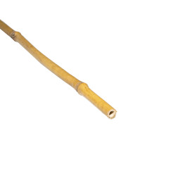 Tyczka bambusowa zestaw 50 szt. 10-12mm 105cm podpora palik do roślin