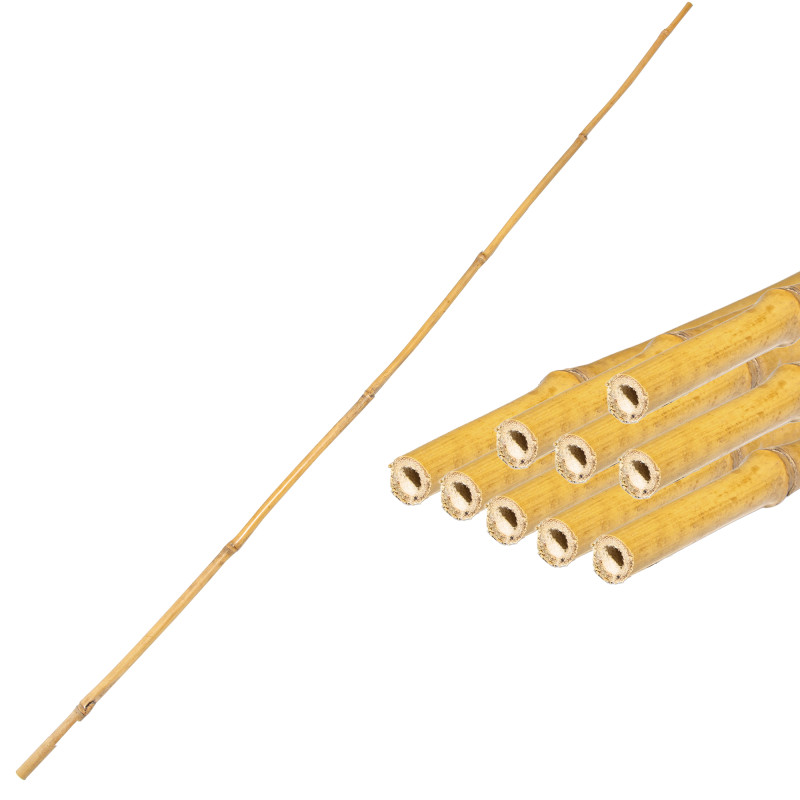 Tyczka bambusowa zestaw 50 szt. 10-12mm 105cm podpora palik do roślin
