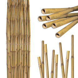 Tyczka bambusowa zestaw 25 szt. 20-22 mm 180cm podpora