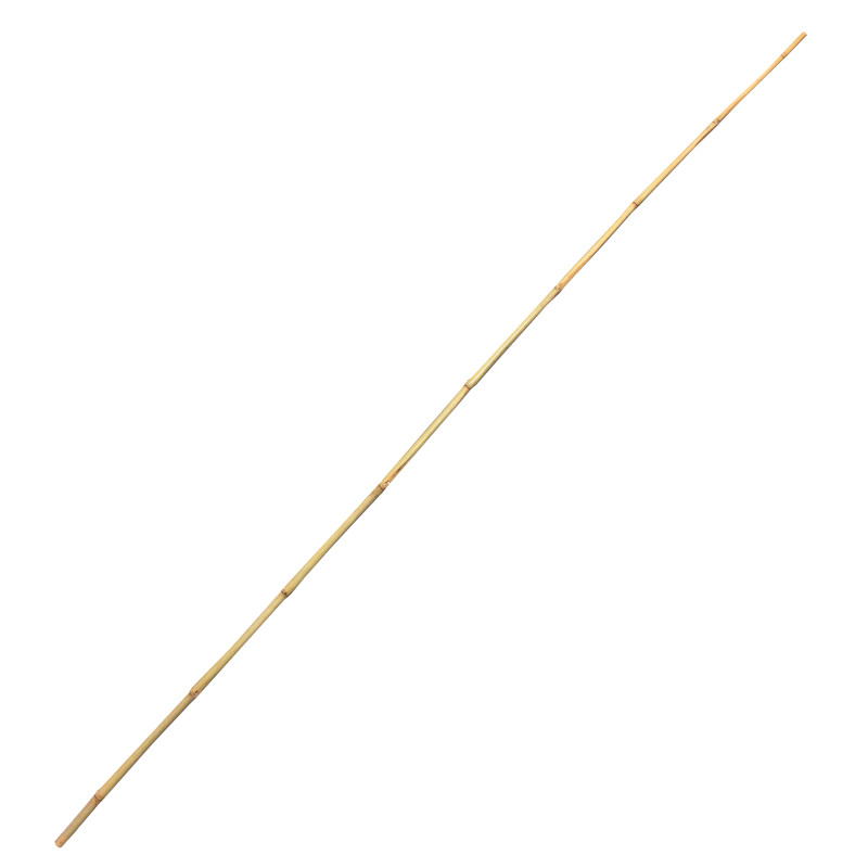 Tyczka bambusowa 10-12mm 120cm podpora zestaw 50 szt.
