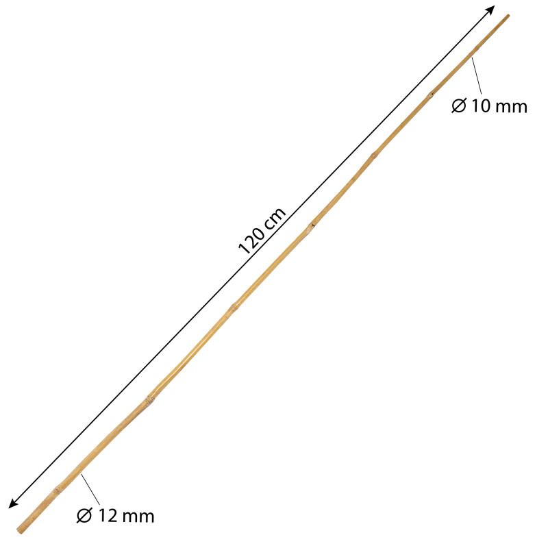 Tyczka bambusowa 10-12mm 120cm podpora zestaw 50 szt.