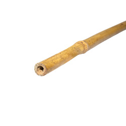 Tyczka bambusowa 10-12mm 120cm podpora zestaw 50 szt.