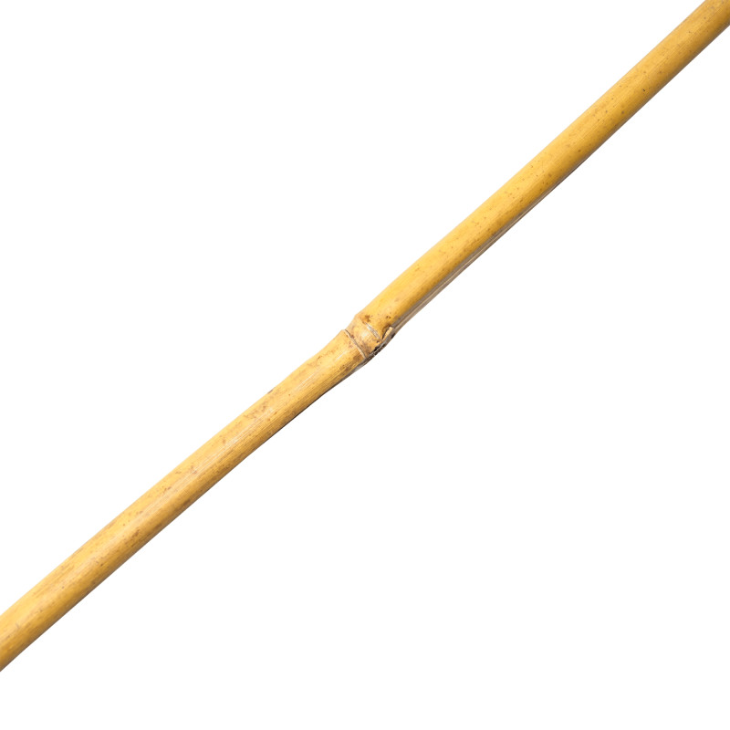 Tyczka bambusowa 10-12mm 120cm podpora zestaw 50 szt.