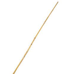 Tyczka bambusowa 10-12mm 120cm podpora zestaw 50 szt.
