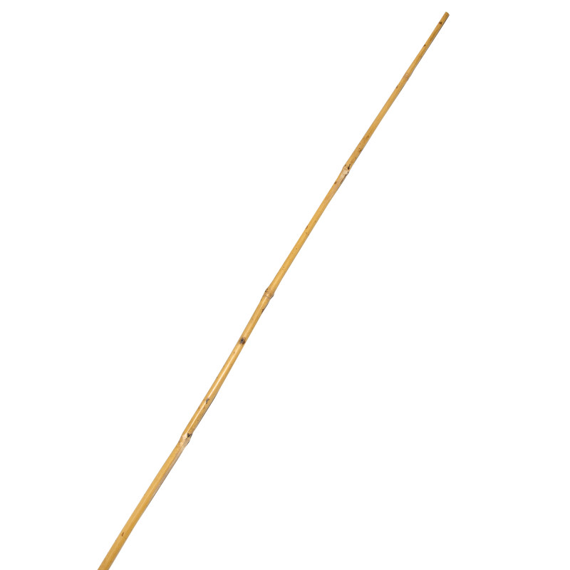 Tyczka bambusowa 10-12mm 120cm podpora zestaw 50 szt.