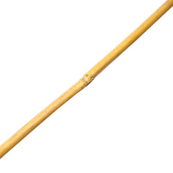 Tyczka bambusowa zestaw 50 szt. 10-12mm 120cm podpora