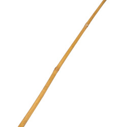 Tyczka bambusowa zestaw 50 szt. 10-12mm 120cm podpora