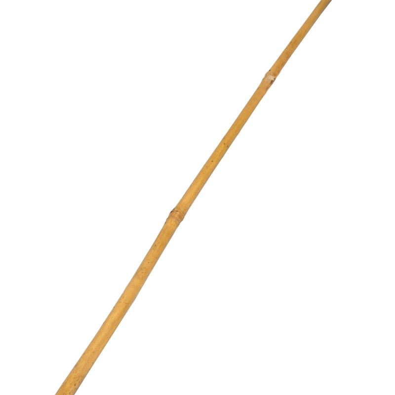Tyczka bambusowa zestaw 50 szt. 10-12mm 120cm podpora