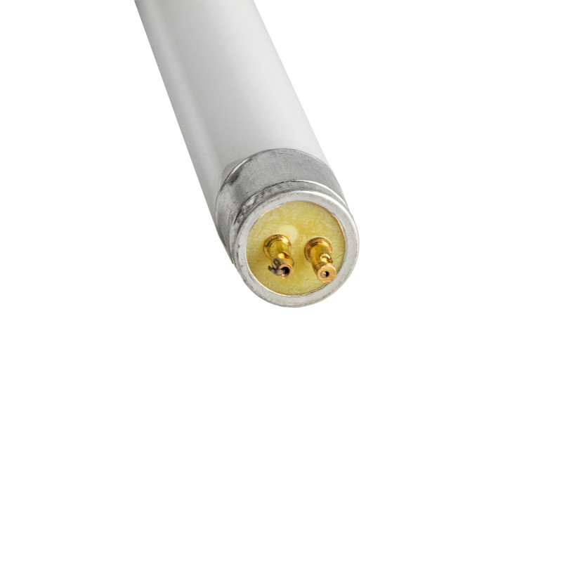 Lampa Owadobójcza UV-A 4W 4iQ + dodatkowe źródło światła