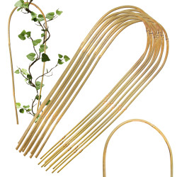 Łuk bambusowy podpora do roślin 60 cm 100 szt. bambus gięty