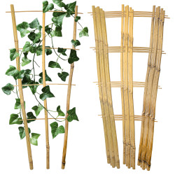 Drabinka bambusowa 60 cm potrójna podpora do roślin drabinka 50 szt. Zestaw