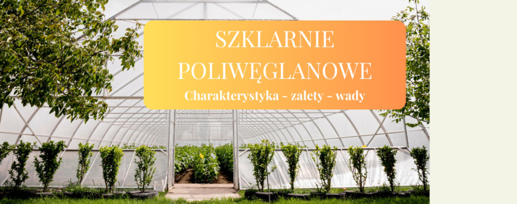 Szklarnie poliwęglanowe – najważniejsze cechy
