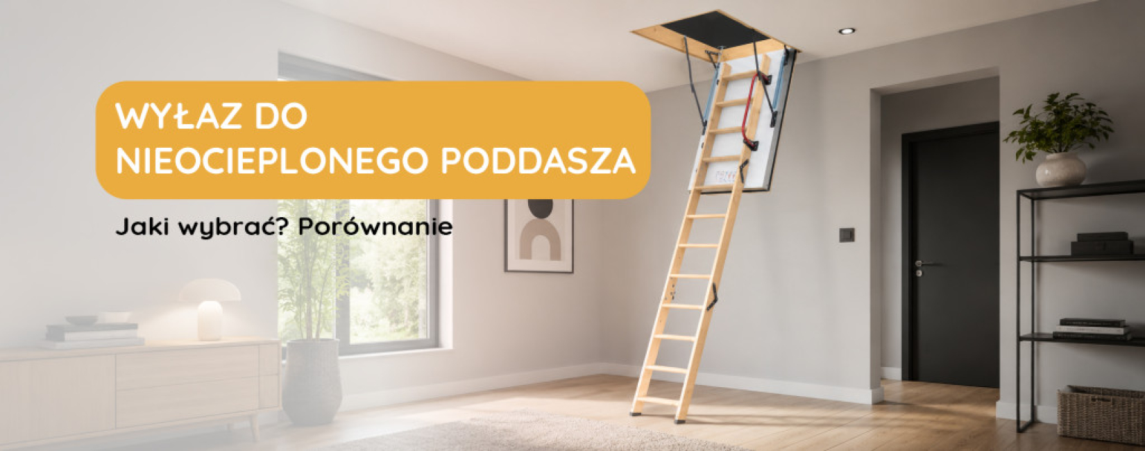 Jaki wyłaz strychowy do nieocieplonego poddasza? Porównanie najlepszych modeli