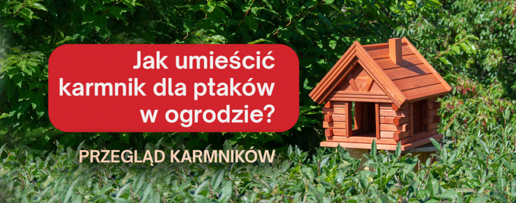 Jak umieścić karmnik dla ptaków w ogrodzie? Przegląd najlepszych modeli.
