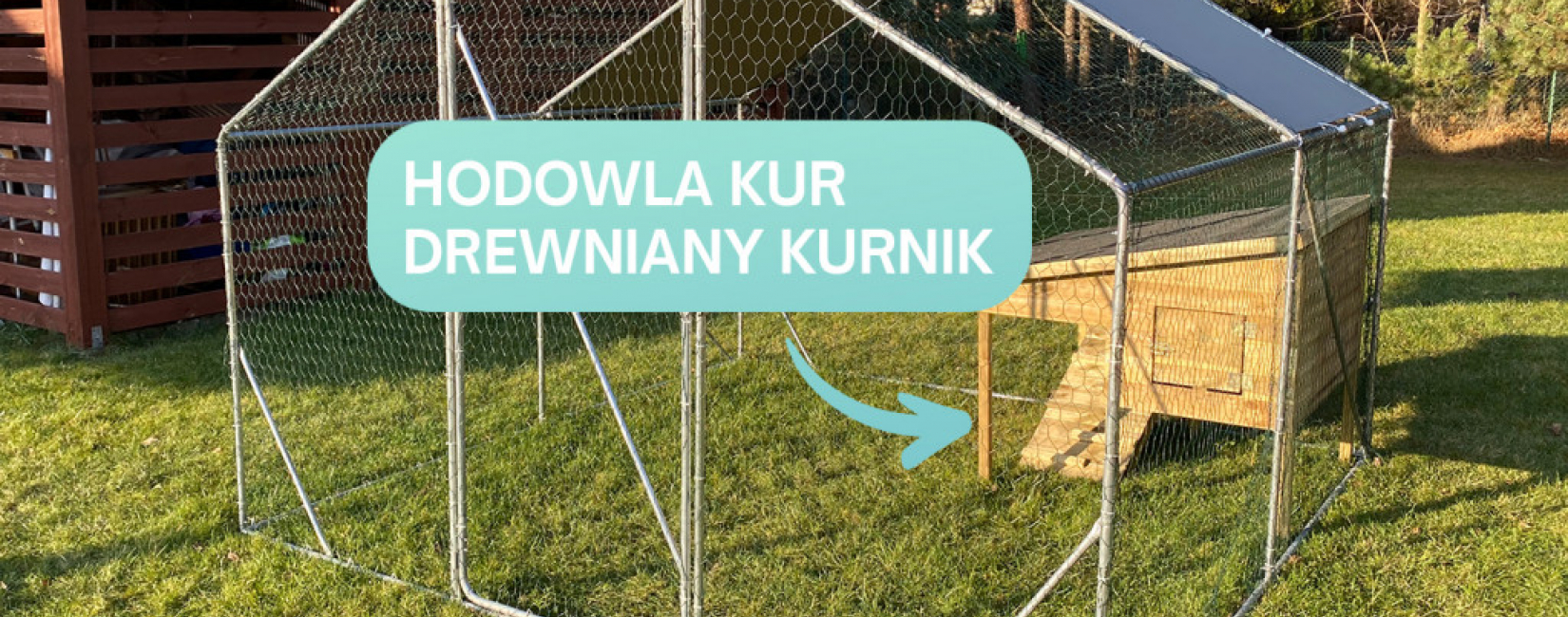 Drewniany kurnik – niezbędnik przy hodowli kur