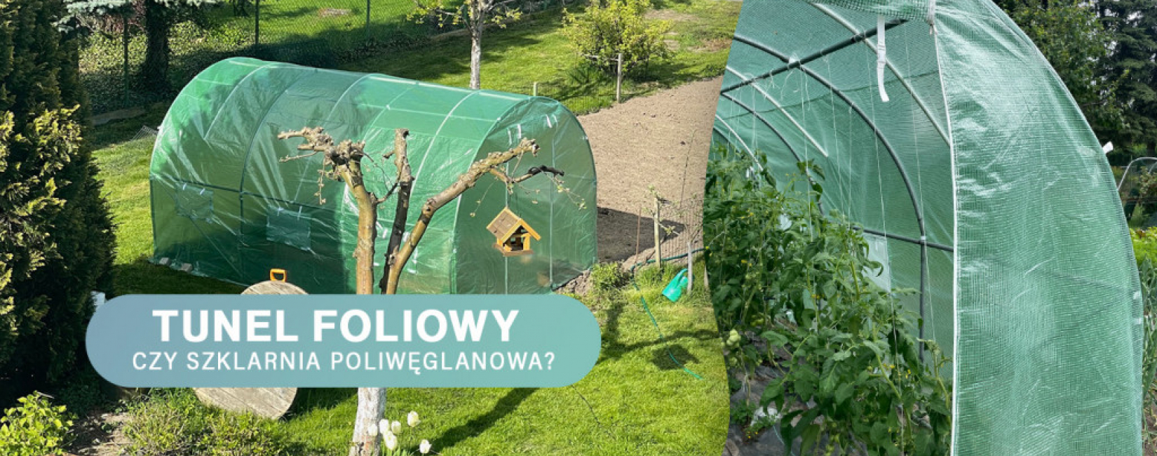 Tunel foliowy czy szklarnia poliwęglanowa? Co wybrać? Porady i wskazówki