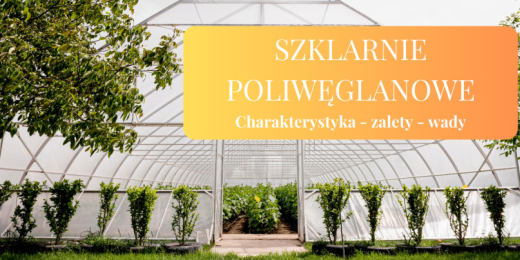 Szklarnie poliwęglanowe – najważniejsze cechy